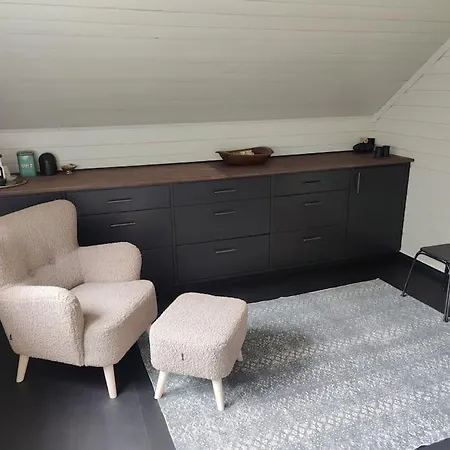 Fritt Beliggende Stor Enebolig Med Hoy Standard فيلة ريوكان