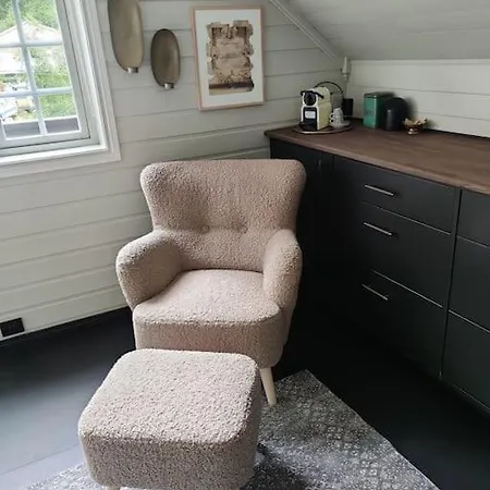 Fritt Beliggende Stor Enebolig Med Hoy Standard Villa