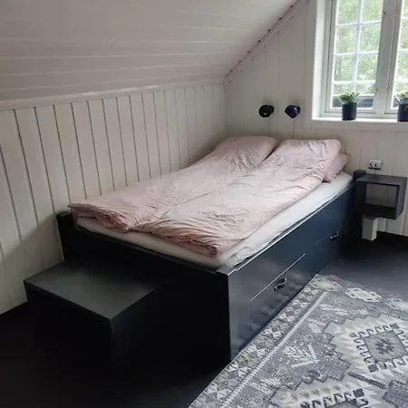 Fritt Beliggende Stor Enebolig Med Hoy Standard Villa Rjukan