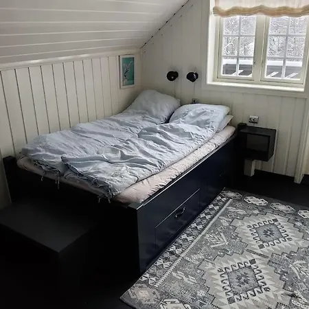 Villa Fritt Beliggende Stor Enebolig Med Hoy Standard Rjukan