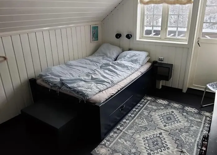 Villa Fritt Beliggende Stor Enebolig Med Hoy Standard Rjukan